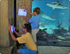 Atlantis Paradise Island Resort 